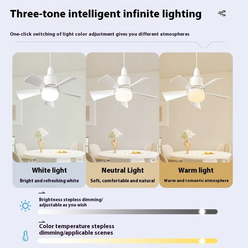 Fan Bulb Home or Dorm